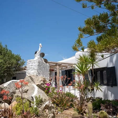 Liana Studios